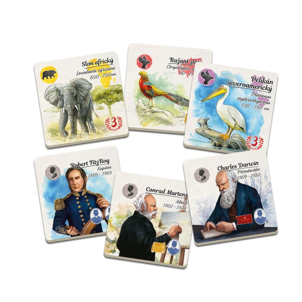 Dino Juego Familiar Tras las huellas de Darwin - Imagen 6