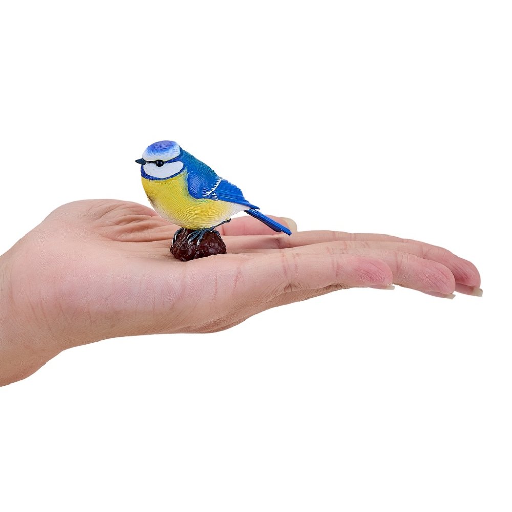 Mojo Herrerillo común - Imagen 5