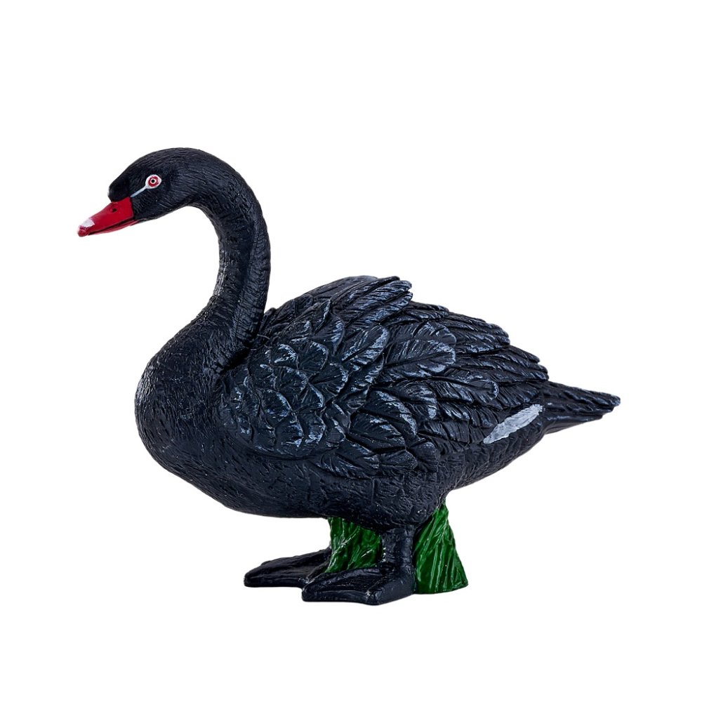 Mojo Cygne noir