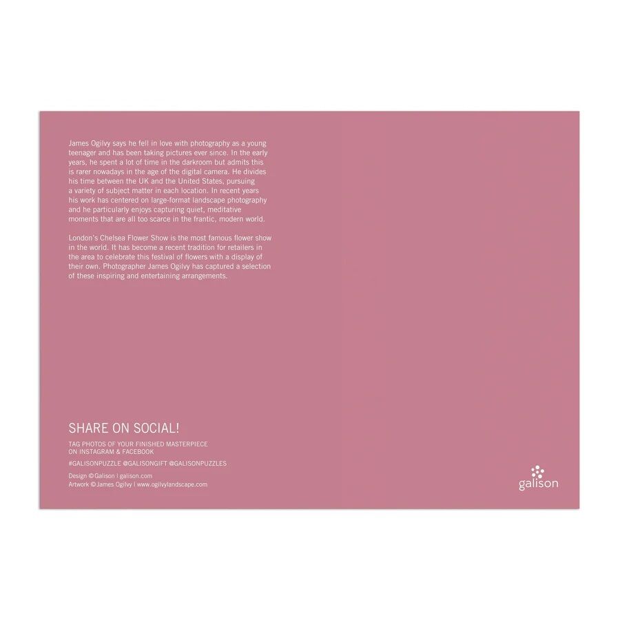 Galison Puzzle Kvetoucí Londýn 1000 dílků (obrázek 5)