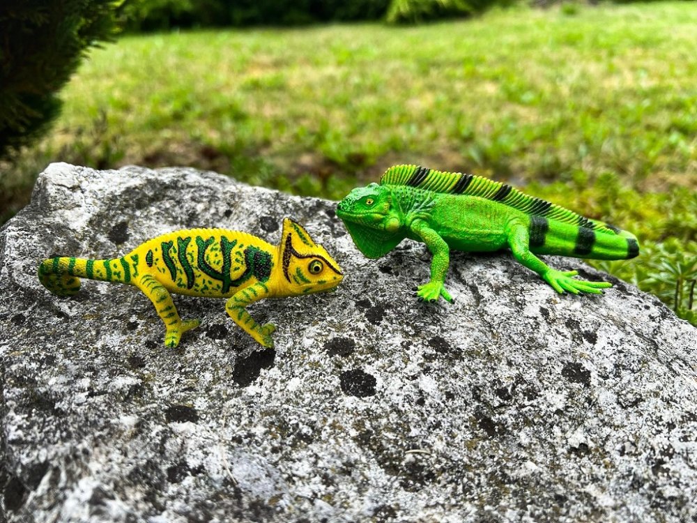 Mojo Chameleon (obrázek 3)