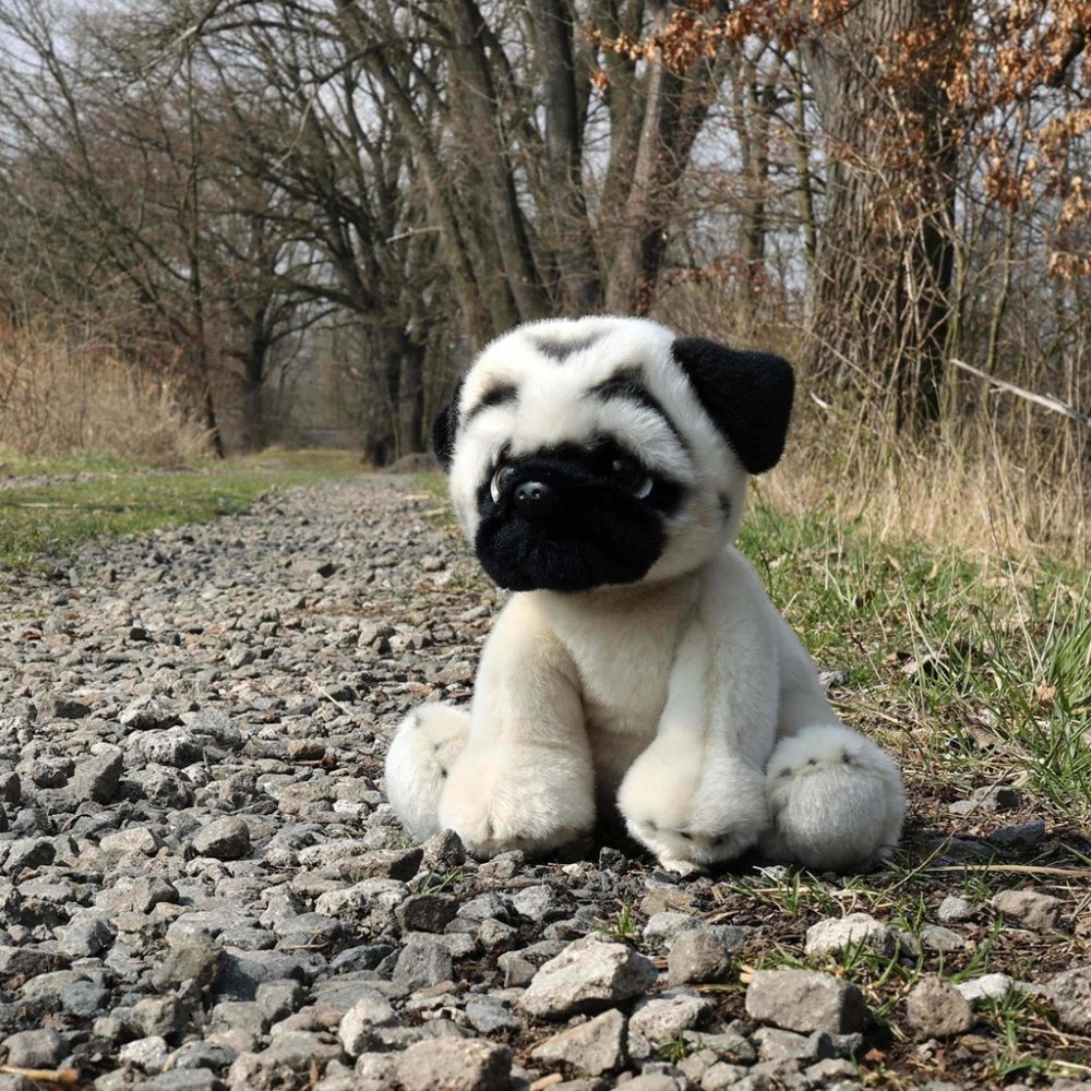 Rappa Plyšový pes mops 30 cm ECO-FRIENDLY (obrázek 5)