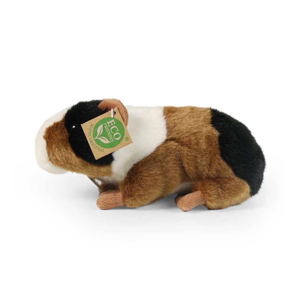 Rappa Plyšové morče 22 cm ECO-FRIENDLY (obrázek 3)