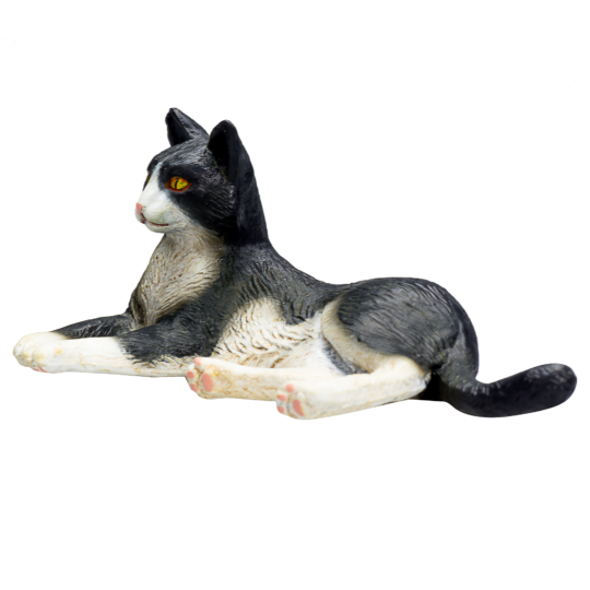 Mojo Chat noir et blanc couché