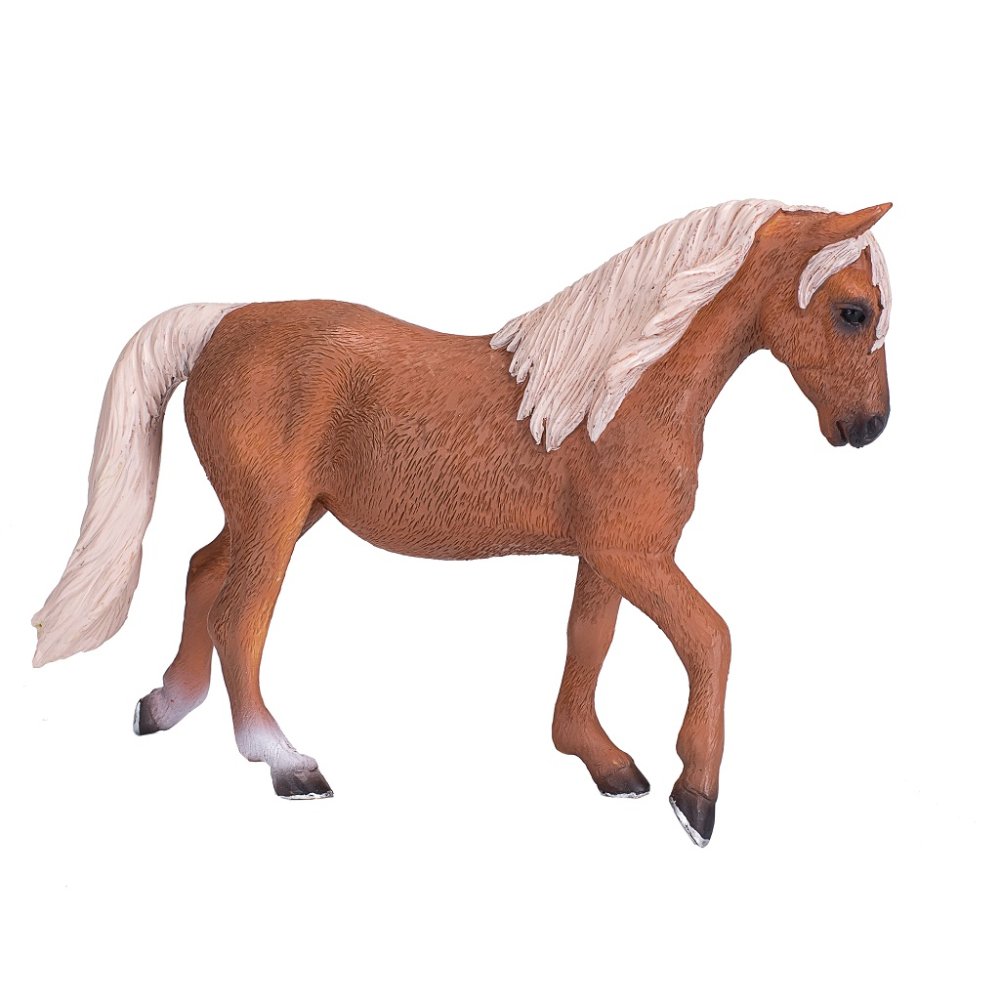 Mojo Häst morgan palomino