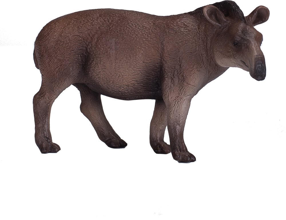 Mojo Sydamerikansk tapir