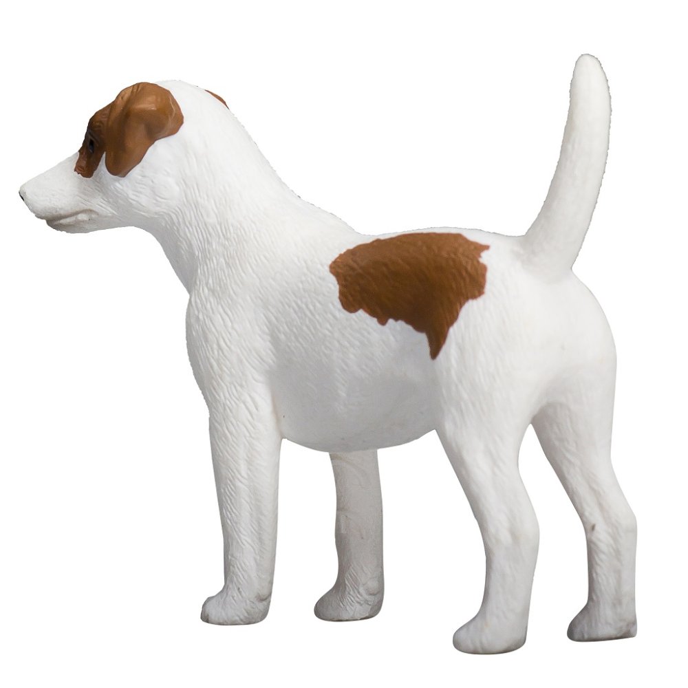 Mojo Jack Russell teriér (obrázek 5)