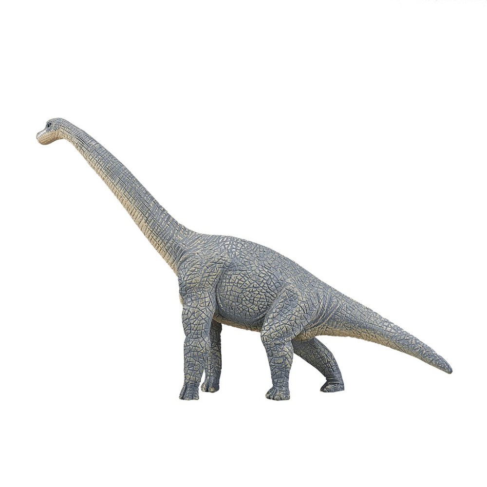 Mojo Brachiosaurus (obrázek 5)