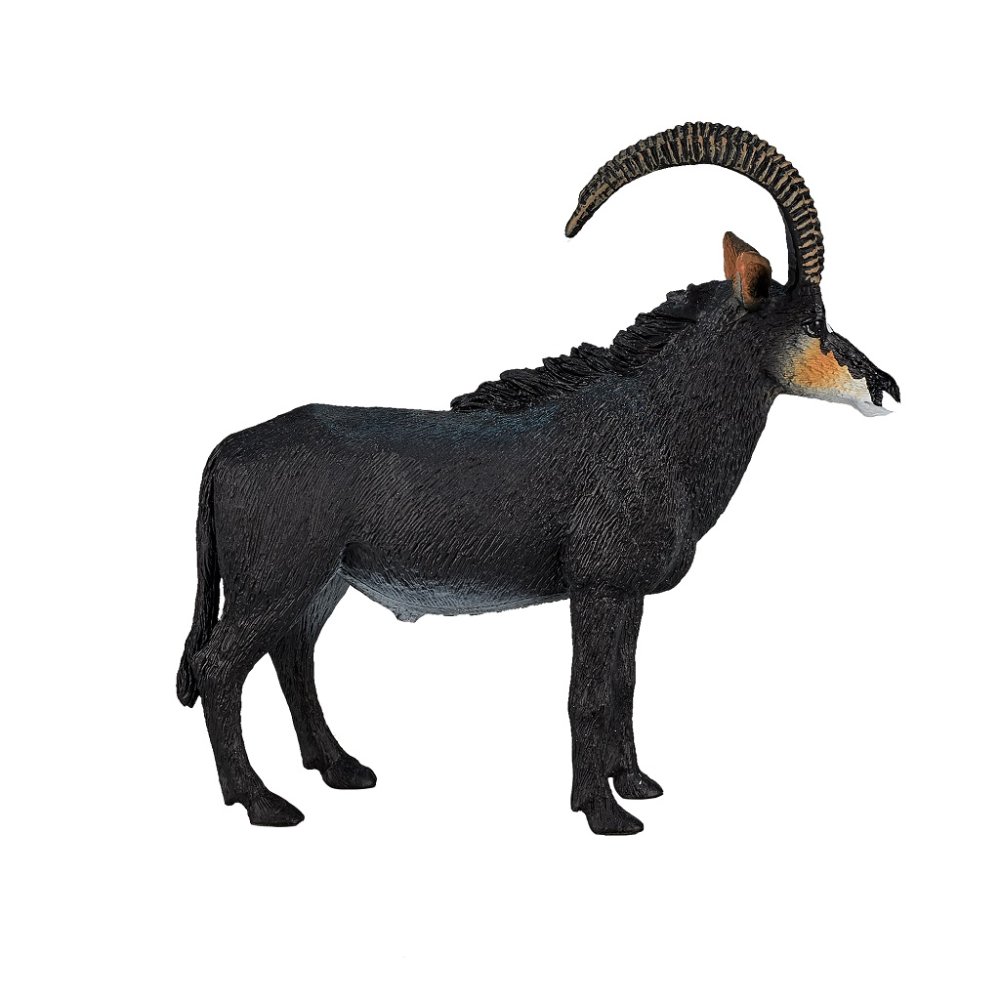 Mojo Antilopa vraná (obrázek 4)
