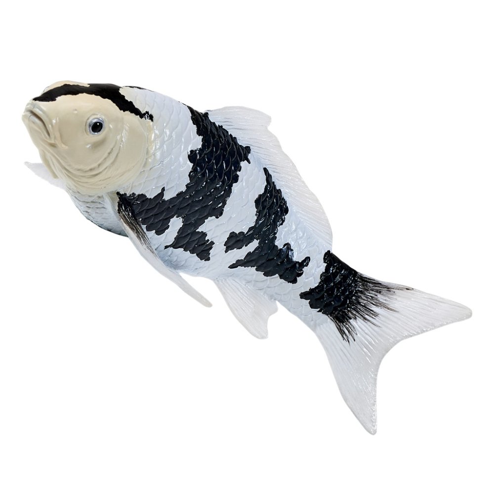 Mojo Kapr koi shiro utsuri (obrázek 3)