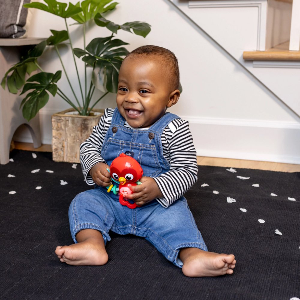 BABY EINSTEIN Jouet musical sensoriel Roxy's Bright Flight™ 3m+ – Image 3