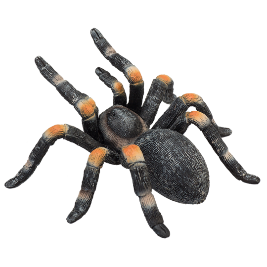 Mojo Tliltocatl Smithi