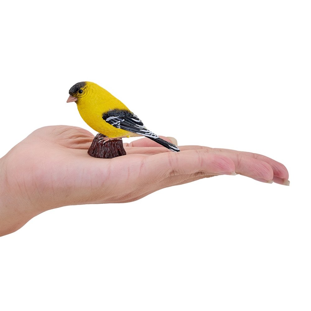 Mojo Serin cini jaune – Image 4