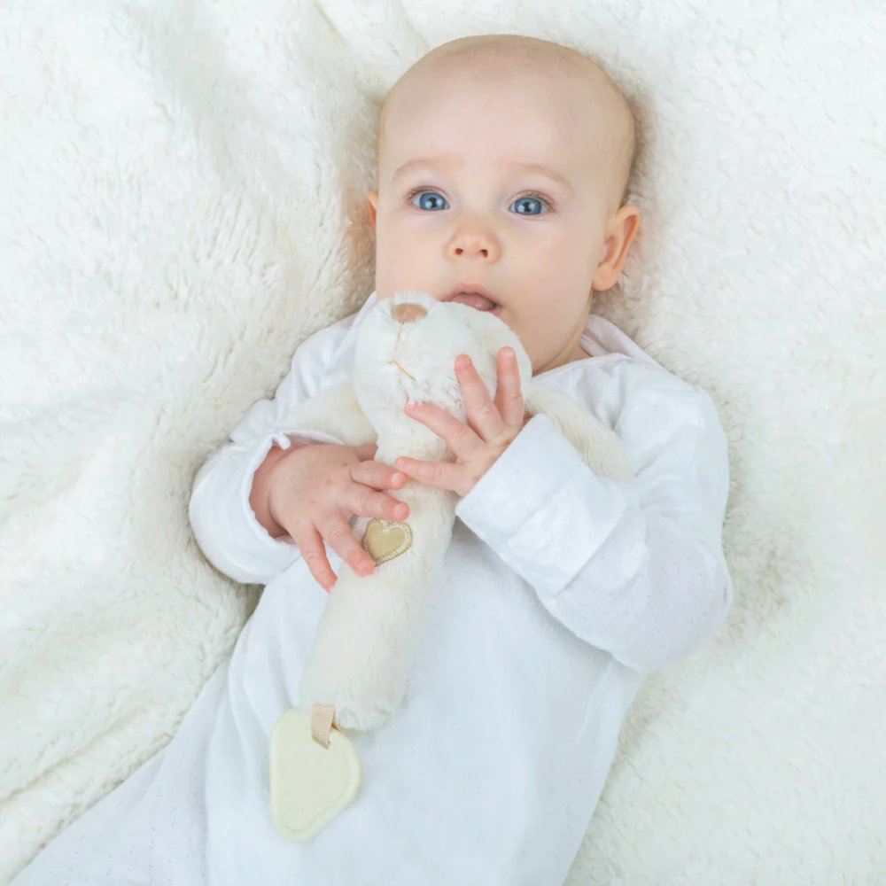 Bigjigs Baby Grzechotka 3w1 piesek - obrazek 6