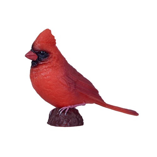 Mojo Kardinál červený v krabičce (obrázek 3)