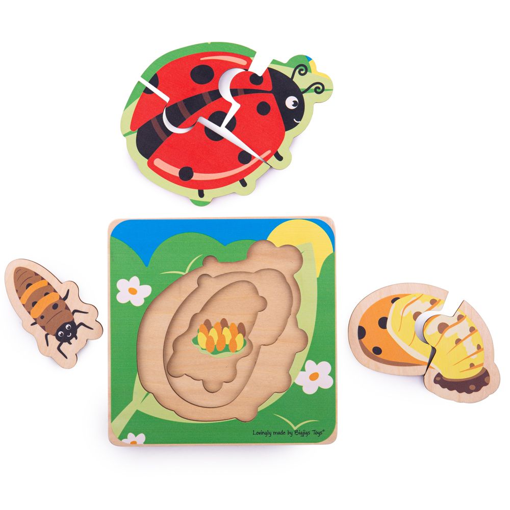 Bigjigs Toys Vkládací puzzle životní cykly berušky (obrázek 2)