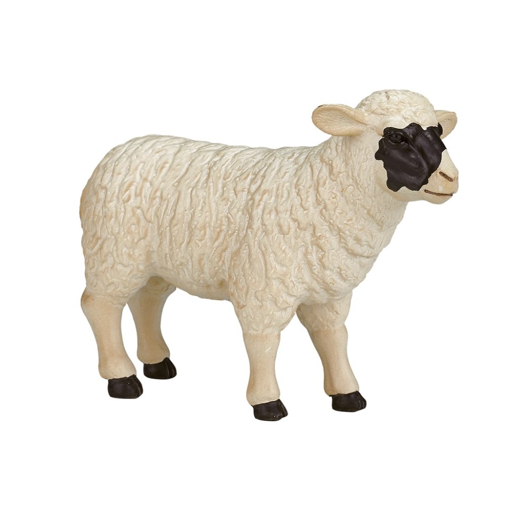 Owca Hampshire Mojo (zdjęcie 5)