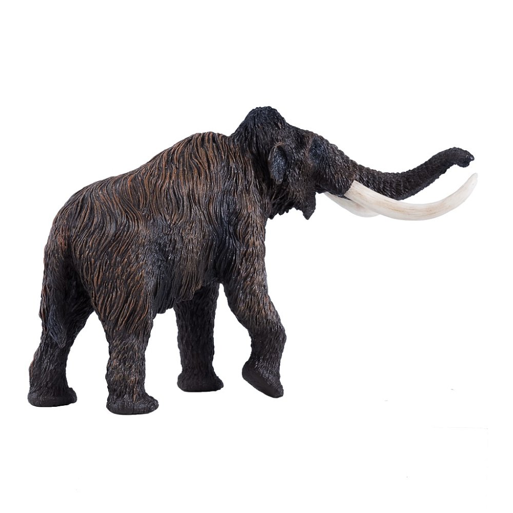 Mojo Mamut srstnatý (obrázek 3)
