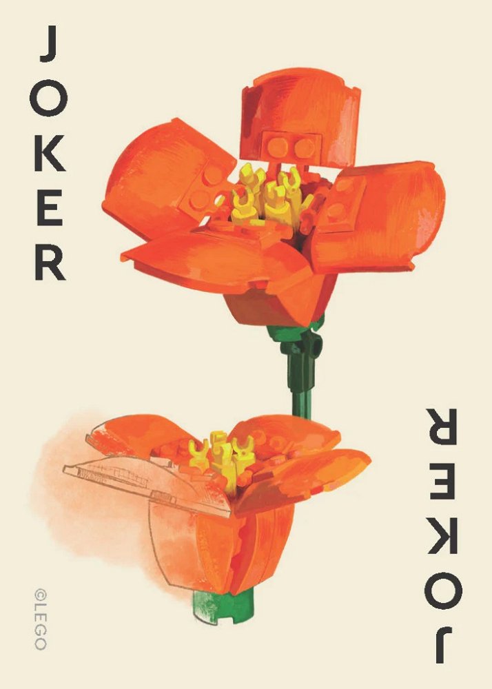 Chronicle Books LEGO® Sada botanických hracích karet (obrázek 3)