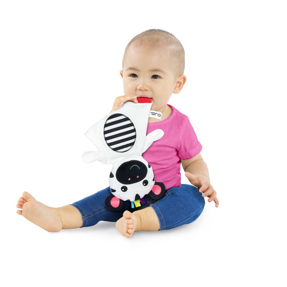 BABY EINSTEIN Gryzak pluszowy sensoryczny Zebra Zen ™ 0m + - obrazek 4