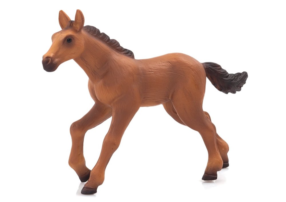 Mojo Puledro Hannover in corsa