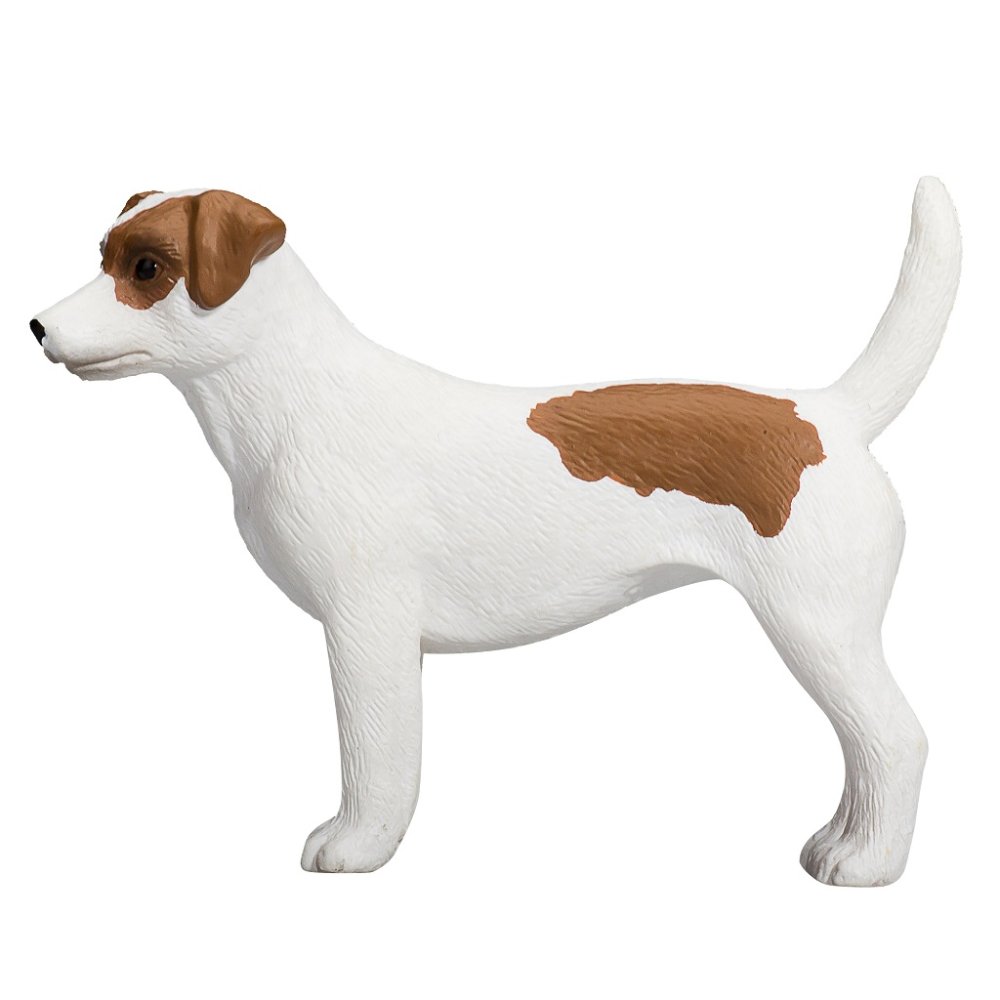 Mojo Jack Russell Terrier – Image 3