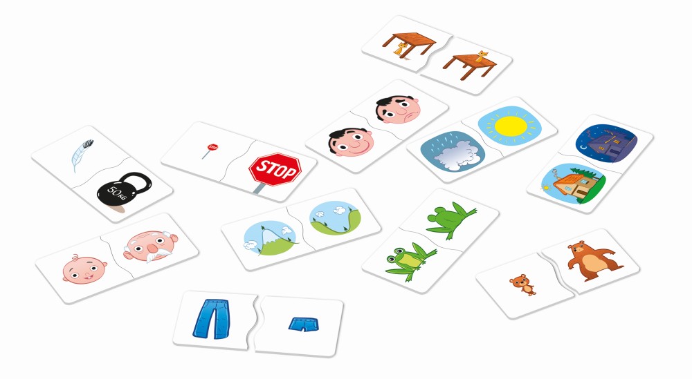 Alexander Gioco Scolastico - Contrari - immagine 6