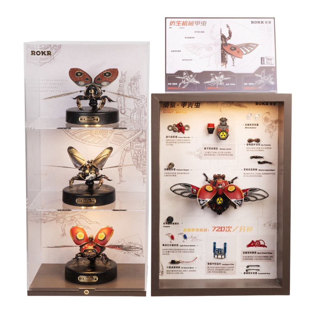 RoboTime 3D mechanická skládačka Brouk nosorožík (obrázek 9)