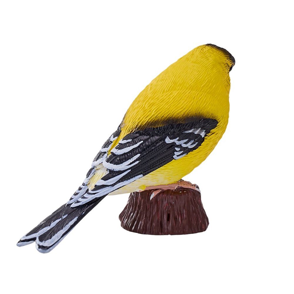 Mojo Serin cini jaune – Image 5