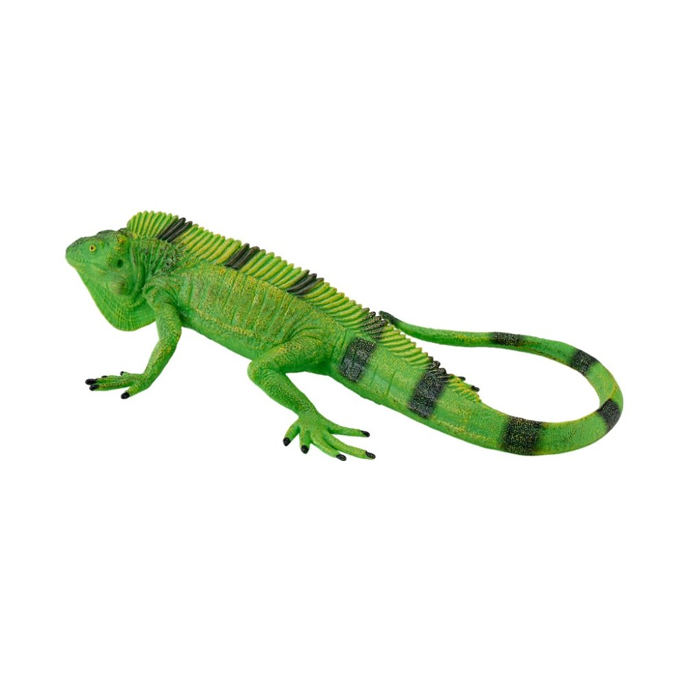 Mojo Leguano - immagine 4