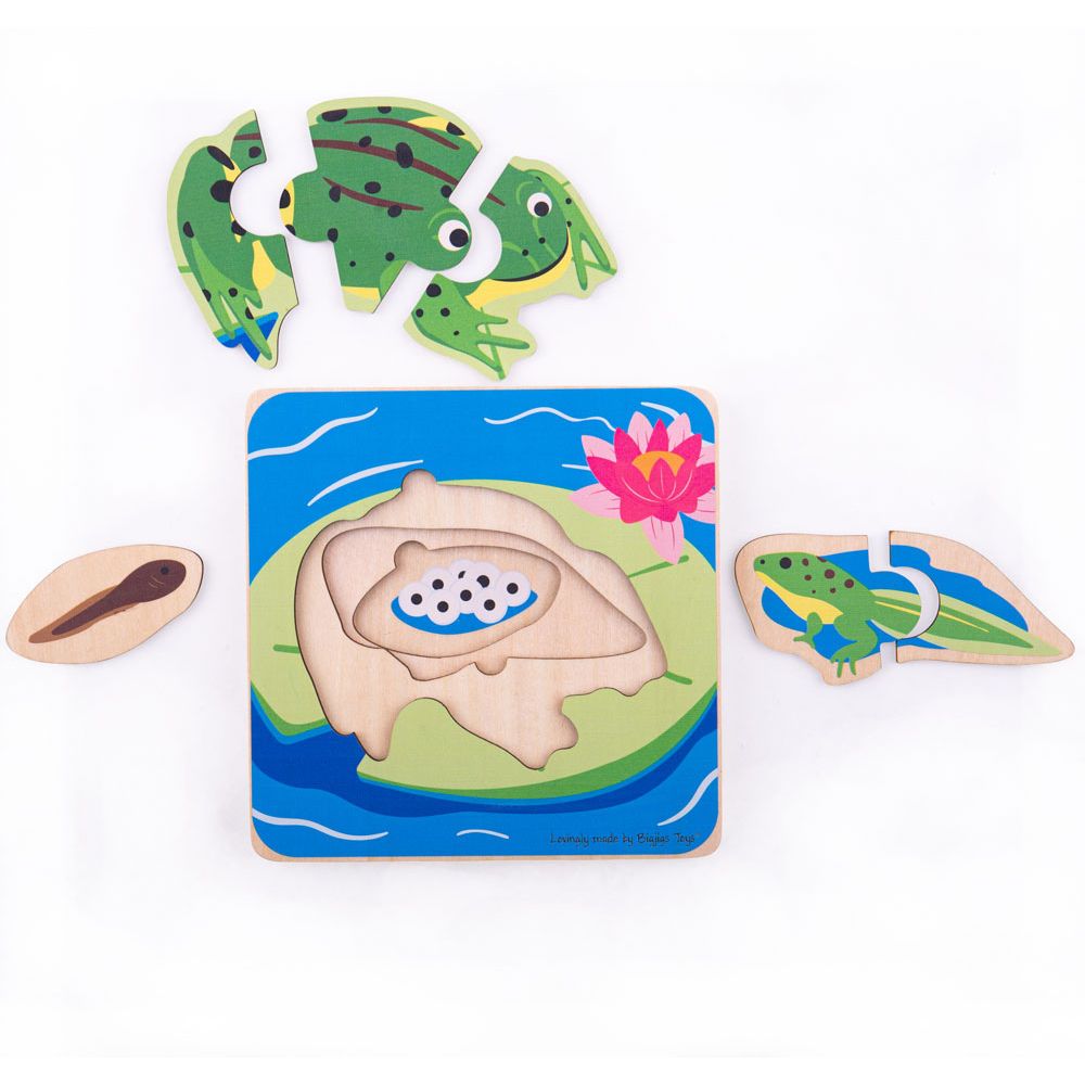 Bigjigs Toys Vkládací puzzle životní cykly žáby (obrázek 2)