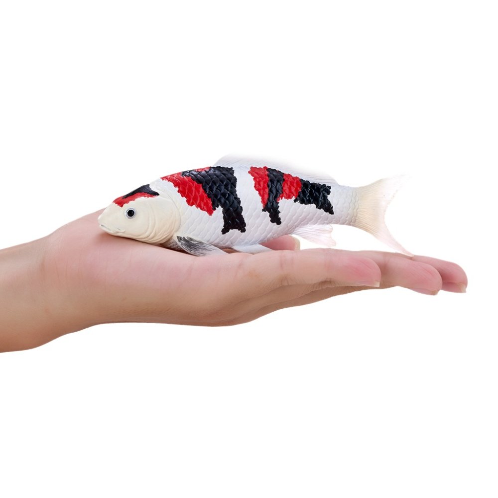 Mojo Kapr koi showa sanshoku (obrázek 6)