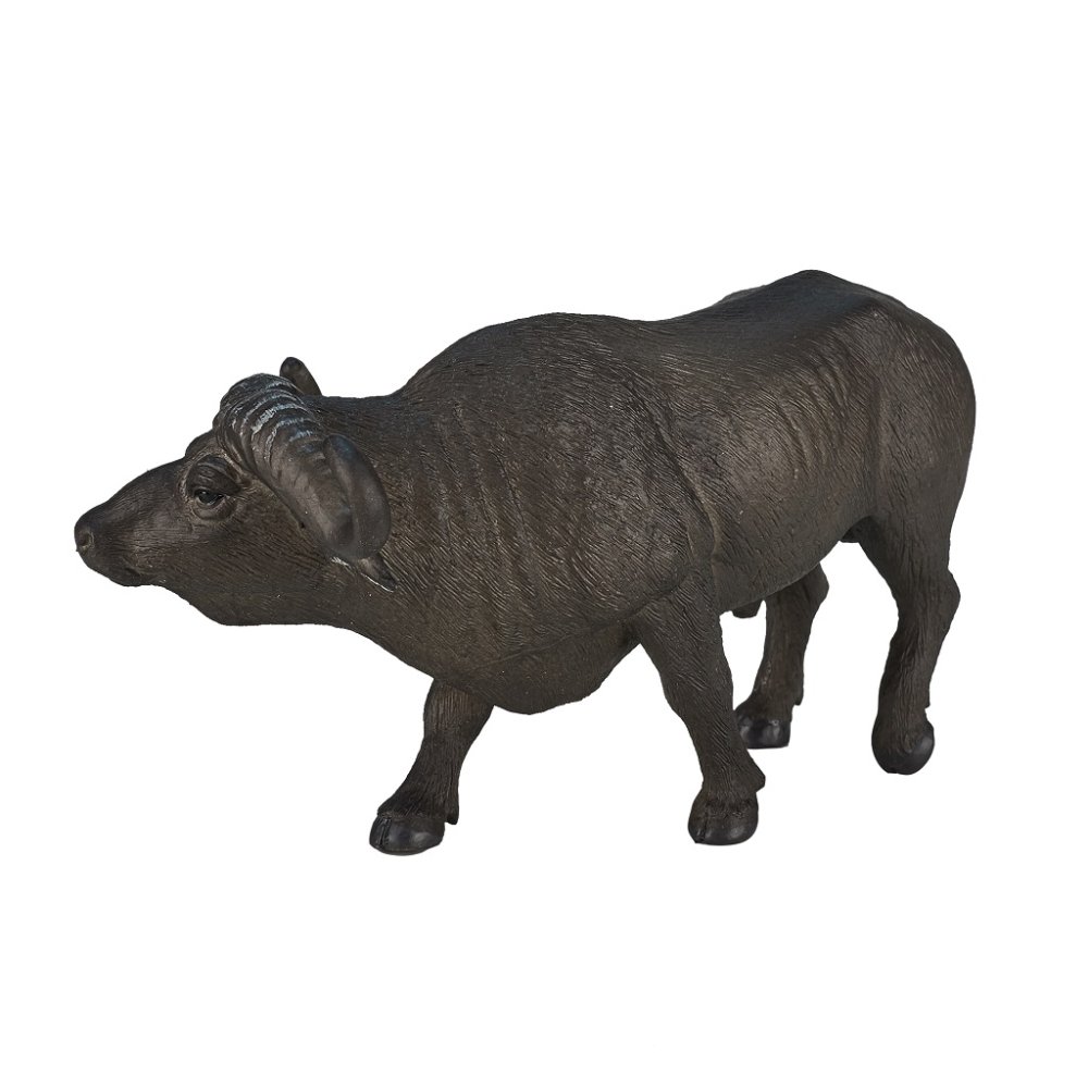 Mojo Buvol africký (obrázek 5)