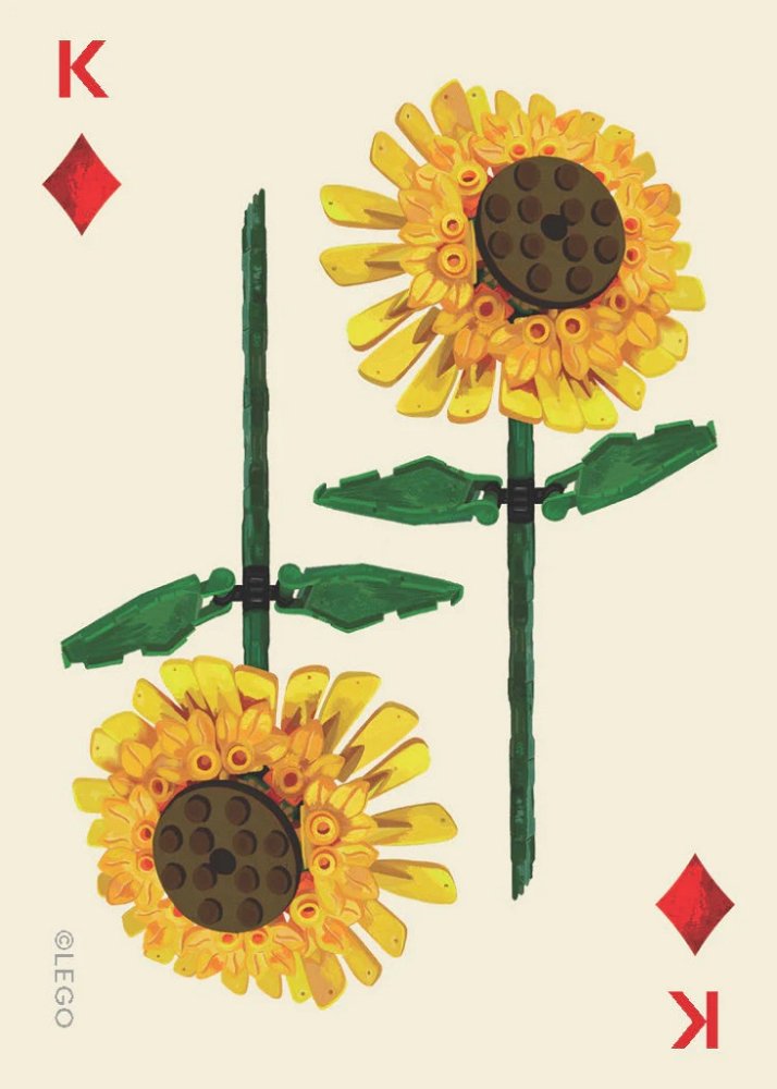 Chronicle Books LEGO® Sada botanických hracích karet (obrázek 7)