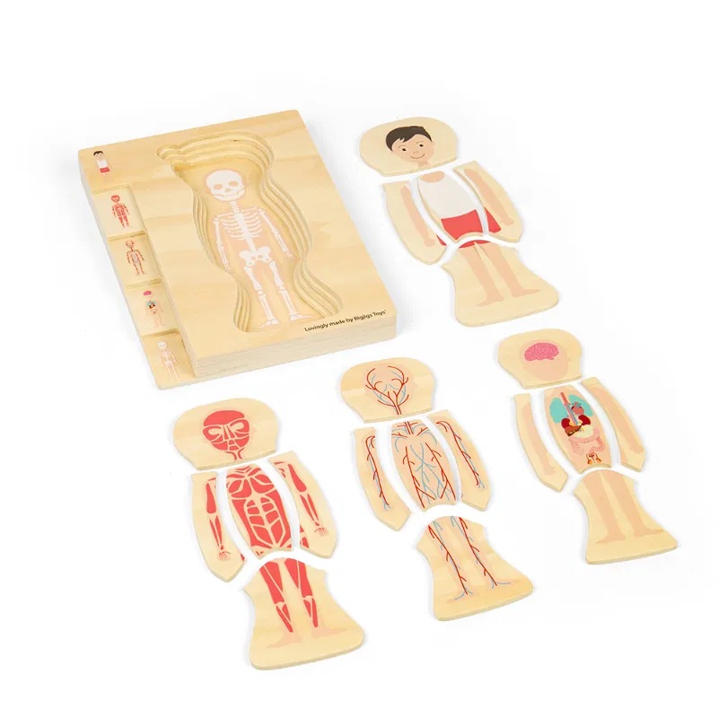 Bigjigs Toys Dřevěné puzzle Anatomie chlapec (obrázek 5)
