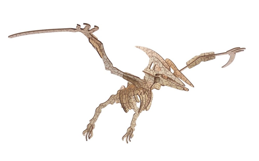 Woodcraft Drewniane Puzzle 3D Pterosaur