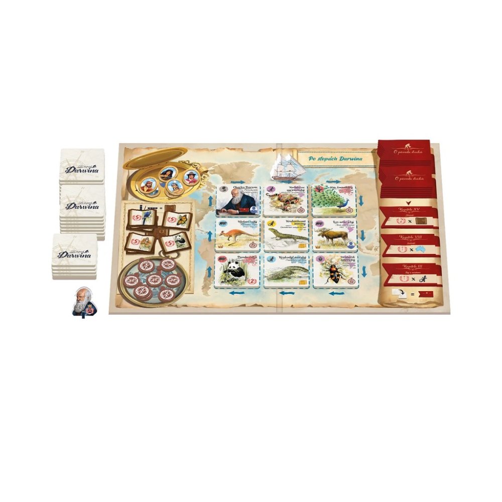 Dino Juego Familiar Tras las huellas de Darwin - Imagen 7