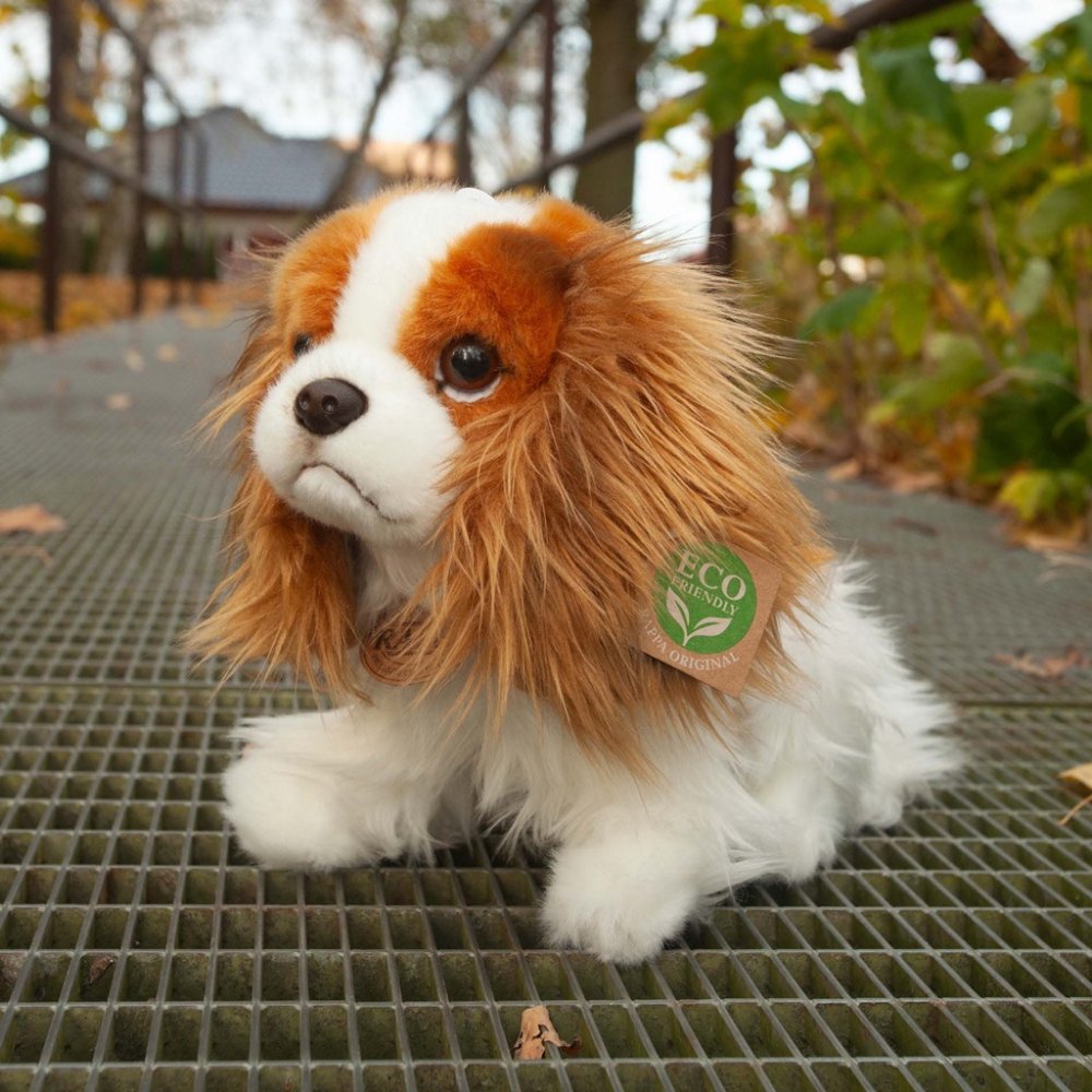 Rappa Plyšový pes King Charles španěl 25 cm (obrázek 3)
