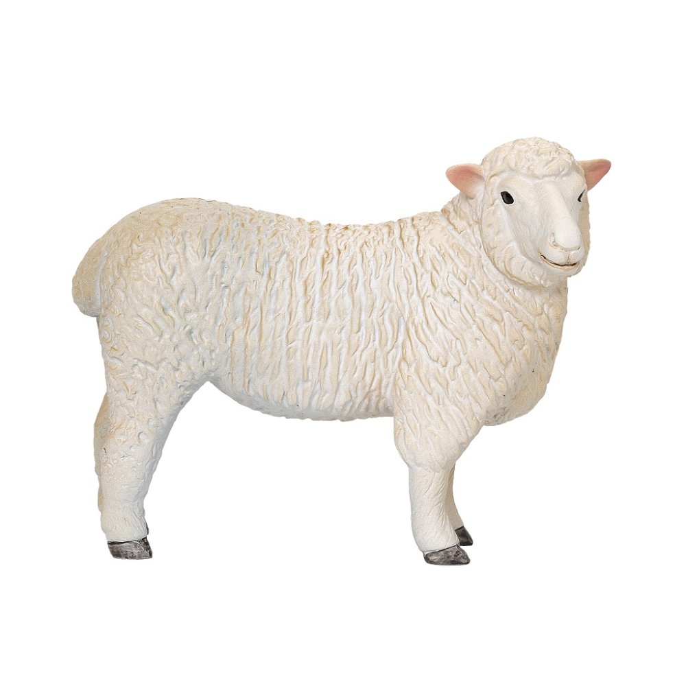 Mojo Ovce romney marsh (obrázek 4)