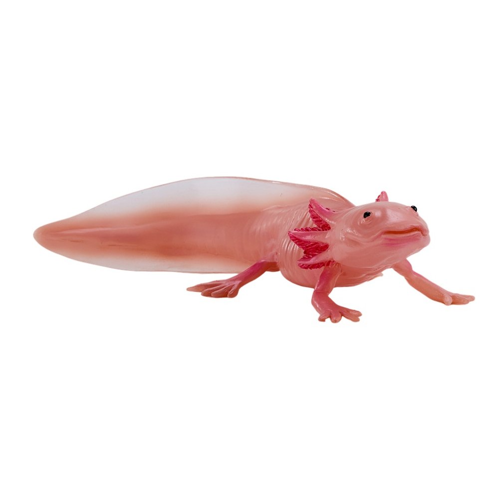 Mojo Axolotl