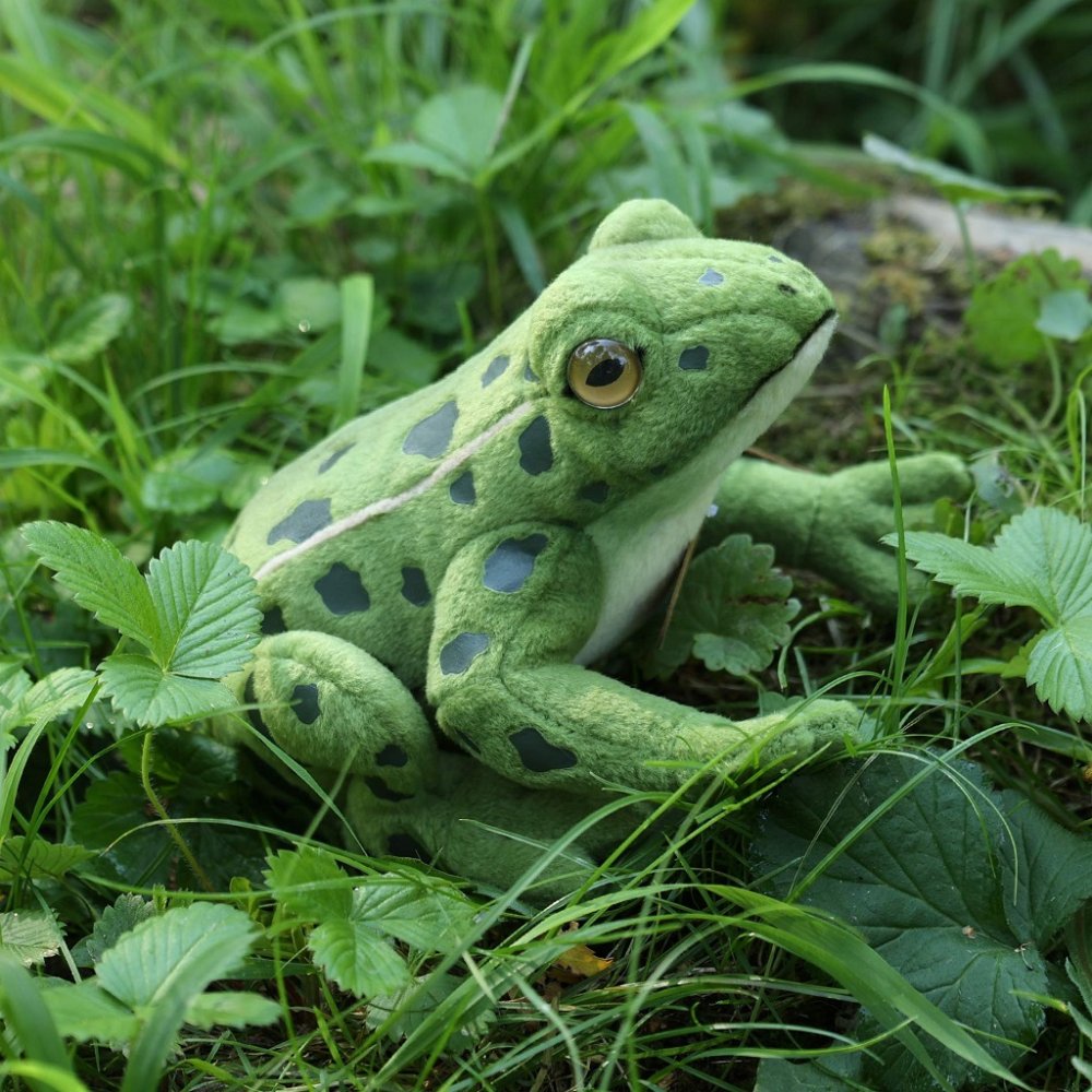 Rappa Plyšová žába 19 cm ECO-FRIENDLY (obrázek 3)