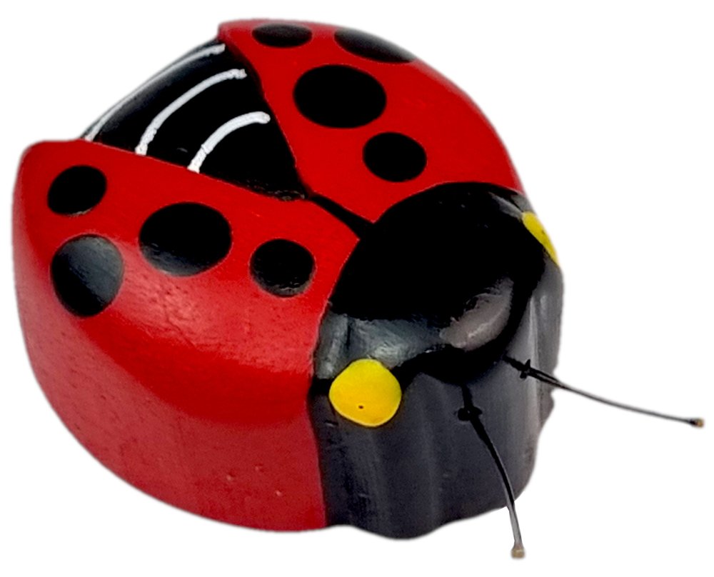 2Kids Toys Imán de madera grande Mariquita - Imagen 3