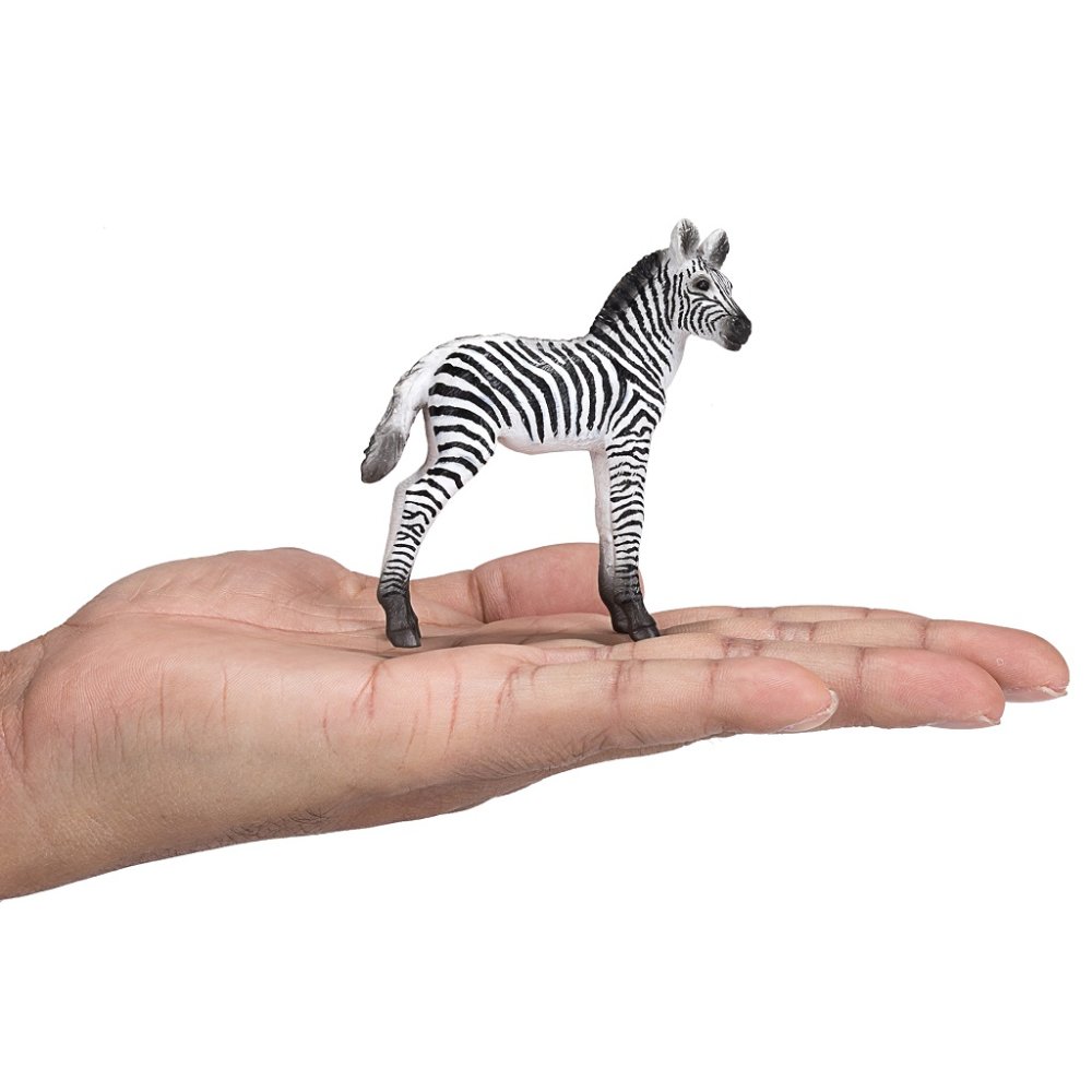 Mojo Zebra mládě (obrázek 6)