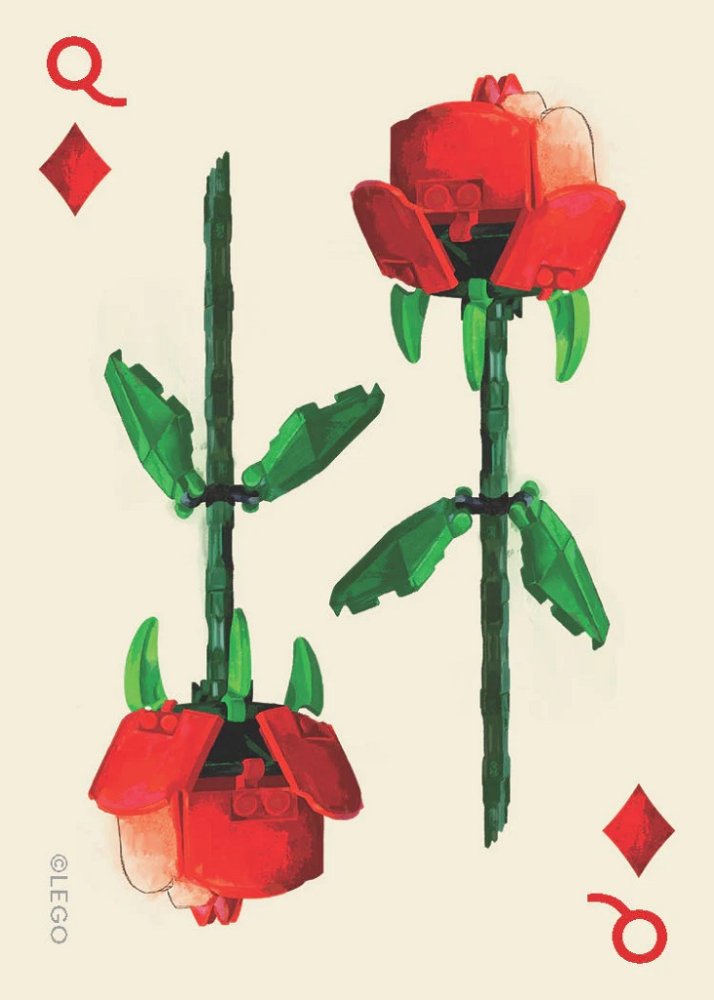 Chronicle Books LEGO® Sada botanických hracích karet (obrázek 5)