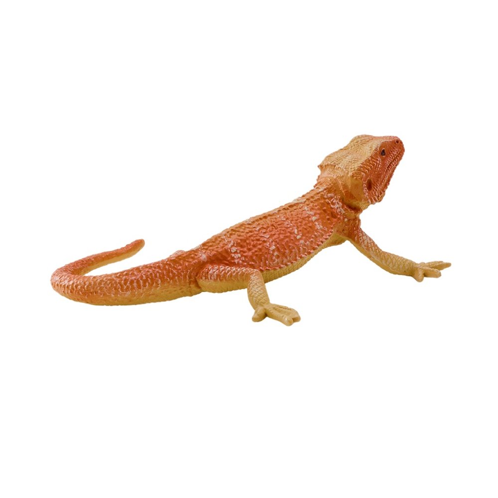 Mojo Agama (obrázek 4)