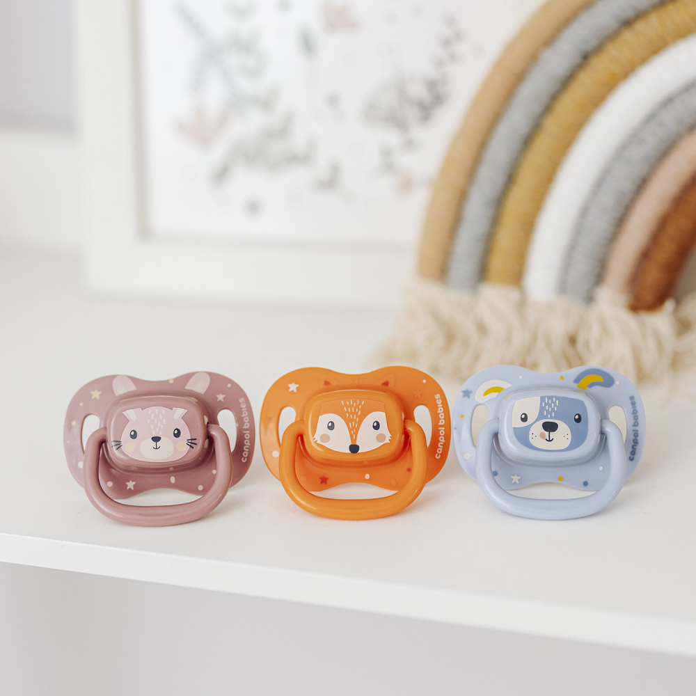 CANPOL BABIES Pacifier Silicone Symmetrical Cute Animals 0-6m 1pc Blue