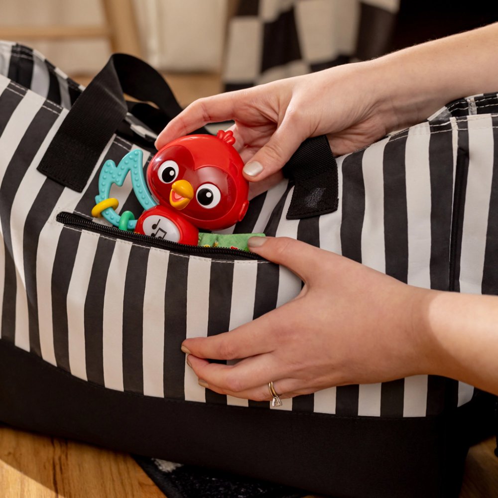 BABY EINSTEIN Jouet musical sensoriel Roxy's Bright Flight™ 3m+ – Image 7