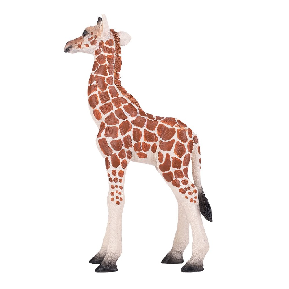 Mojo Bébé Girafe – Image 4