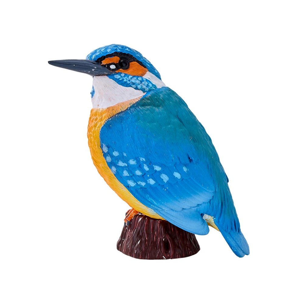 Mojo Martín Pescador Común - Imagen 7