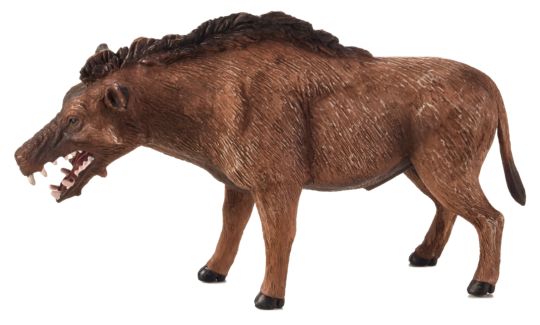 Mojo Daeodon